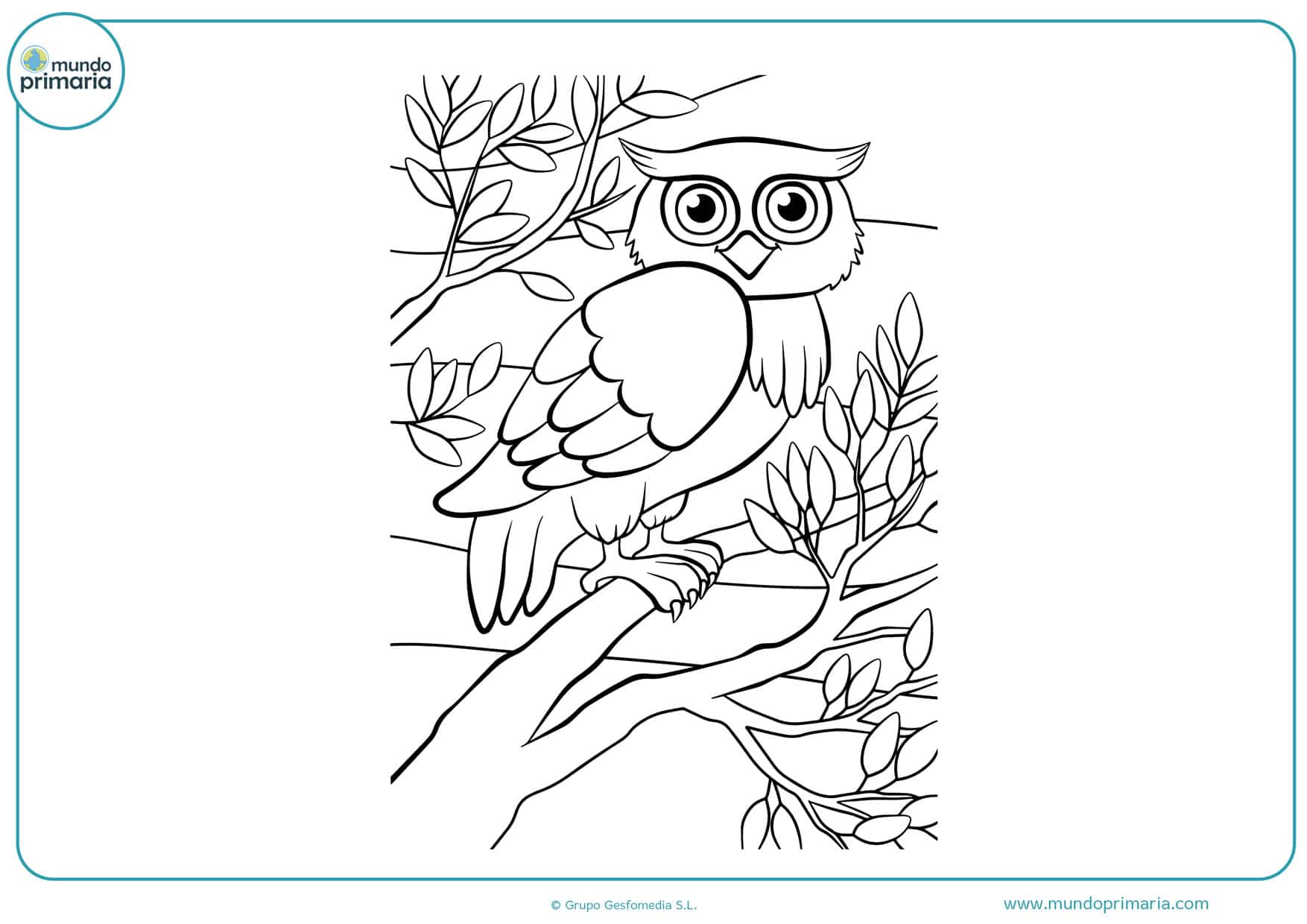 ▷ Dibujos de Búhos para Colorear 【Imprimir y Pintar】