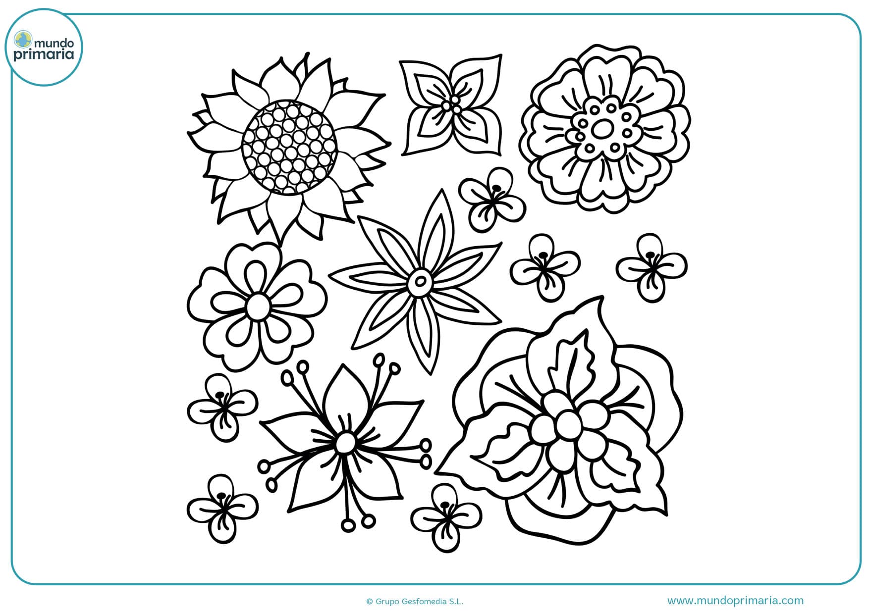 Dibujos de Flores para Colorear 【Bonitas y Fáciles de Pintar】