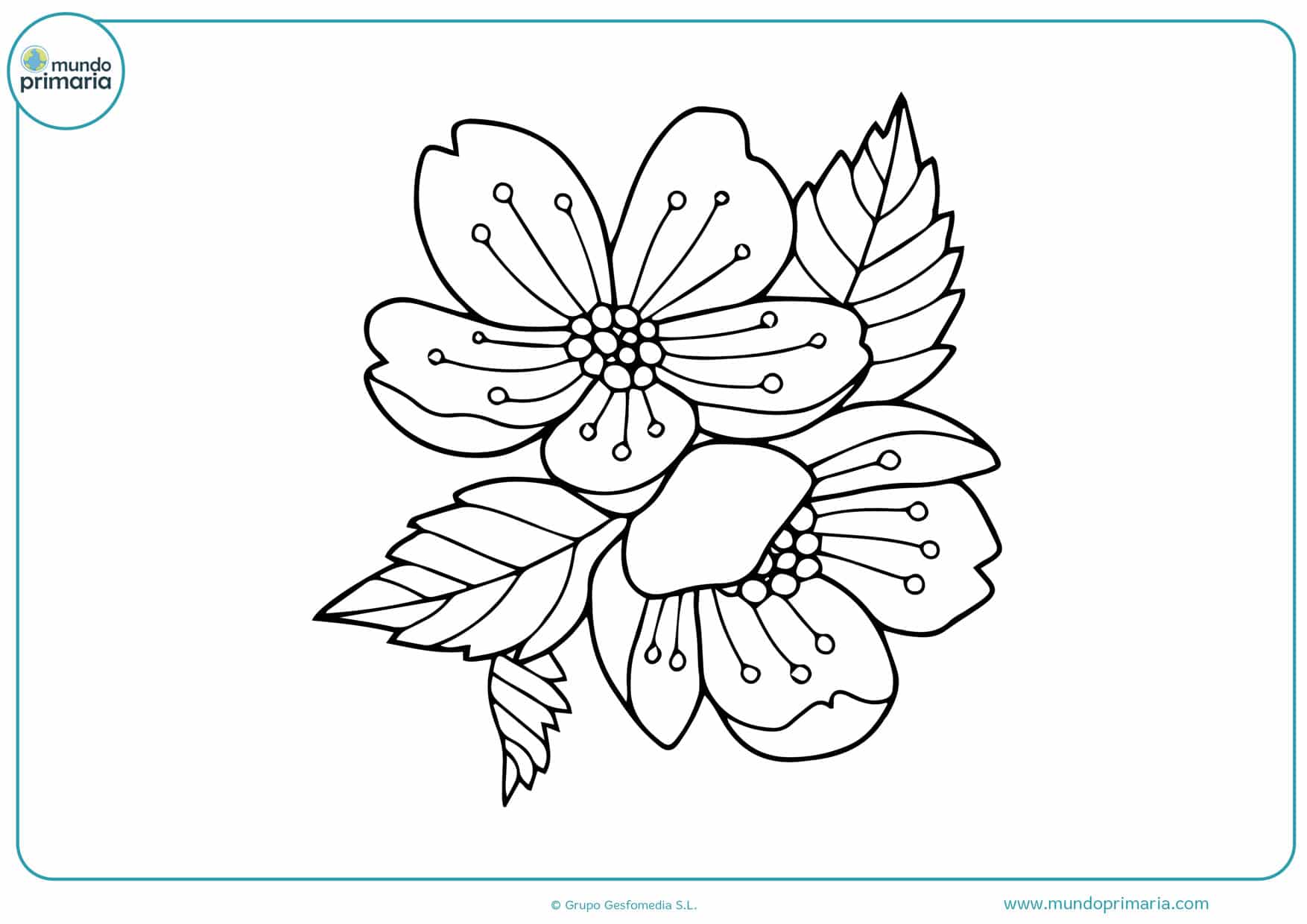 Flores Para Pintar Desenhos De Flores Para Pintar SLOQS