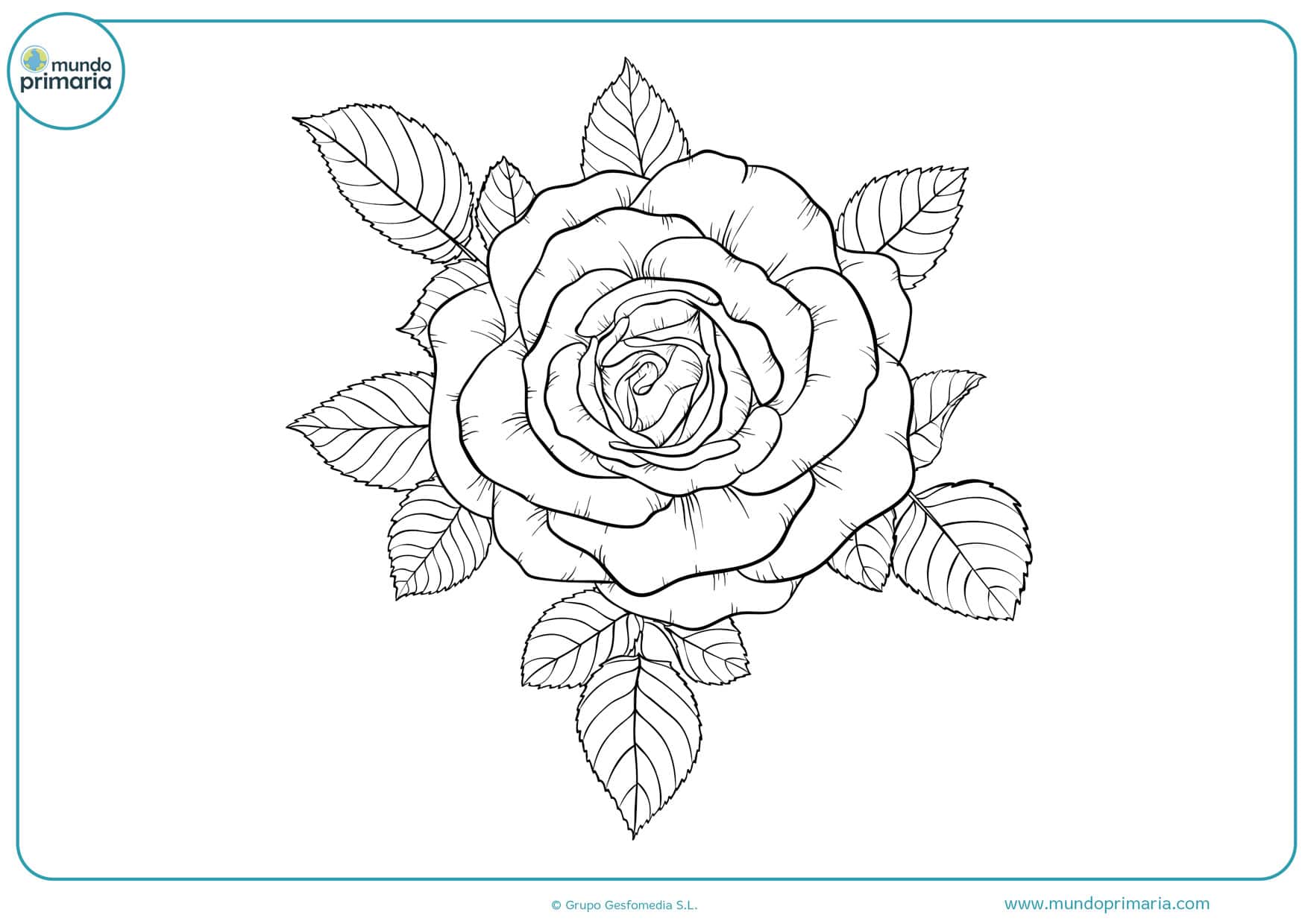 Dibujos de Flores para Colorear 【Bonitas y Fáciles de Pintar】