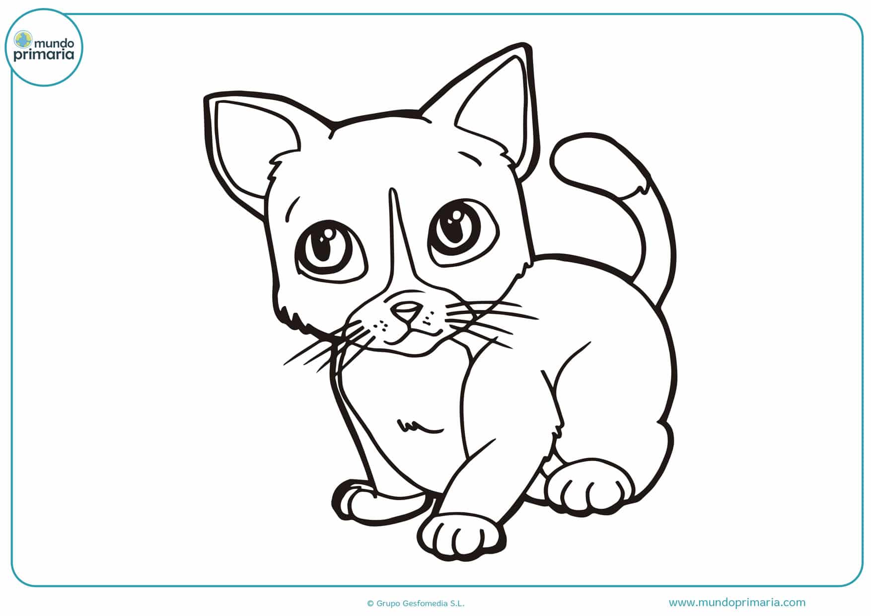 Dibujos de gatos para imprimir y colorear - Mundo Primaria