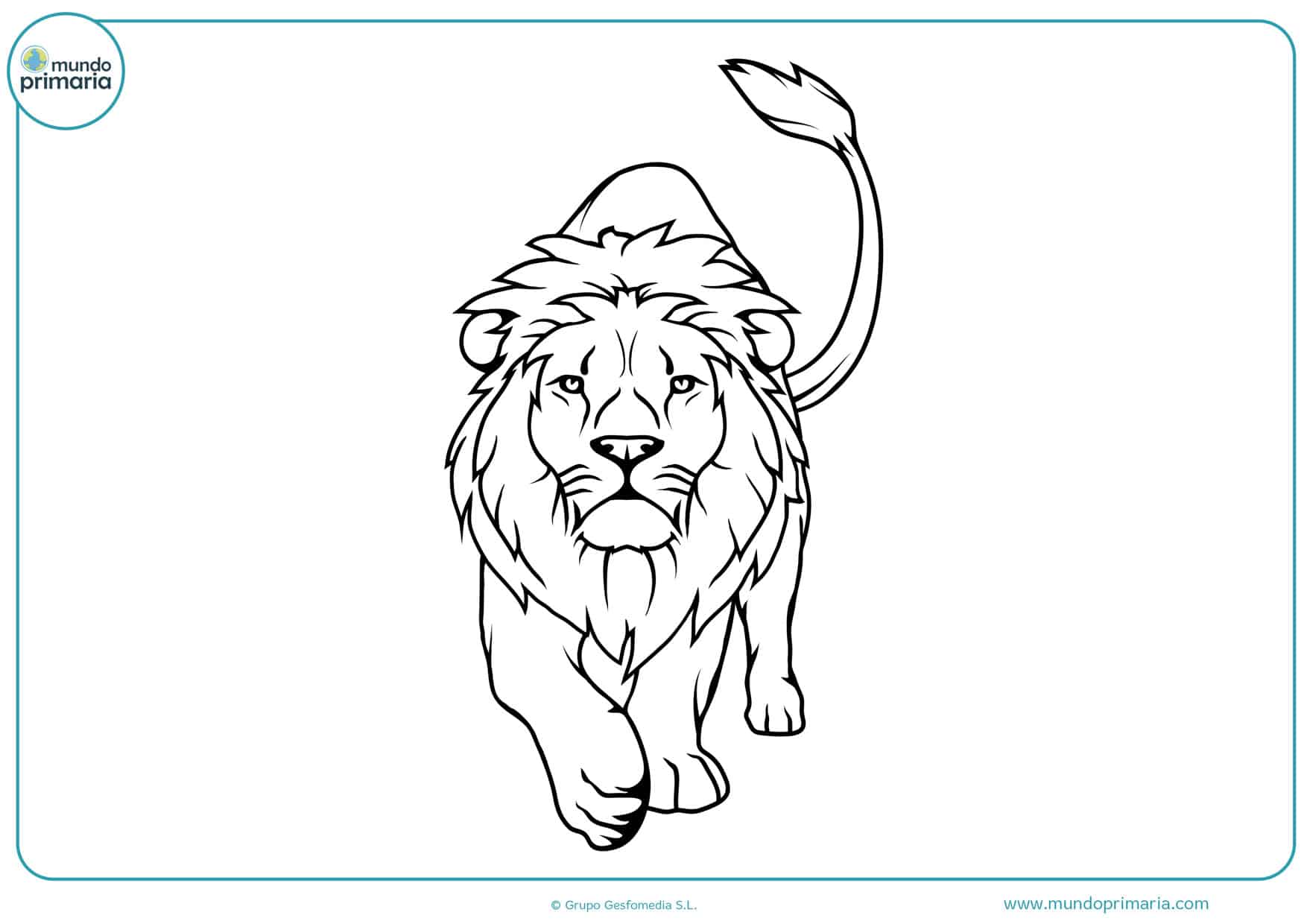 Dibujos de leones para Colorear a Lápiz o como quieras - Mundo Primaria