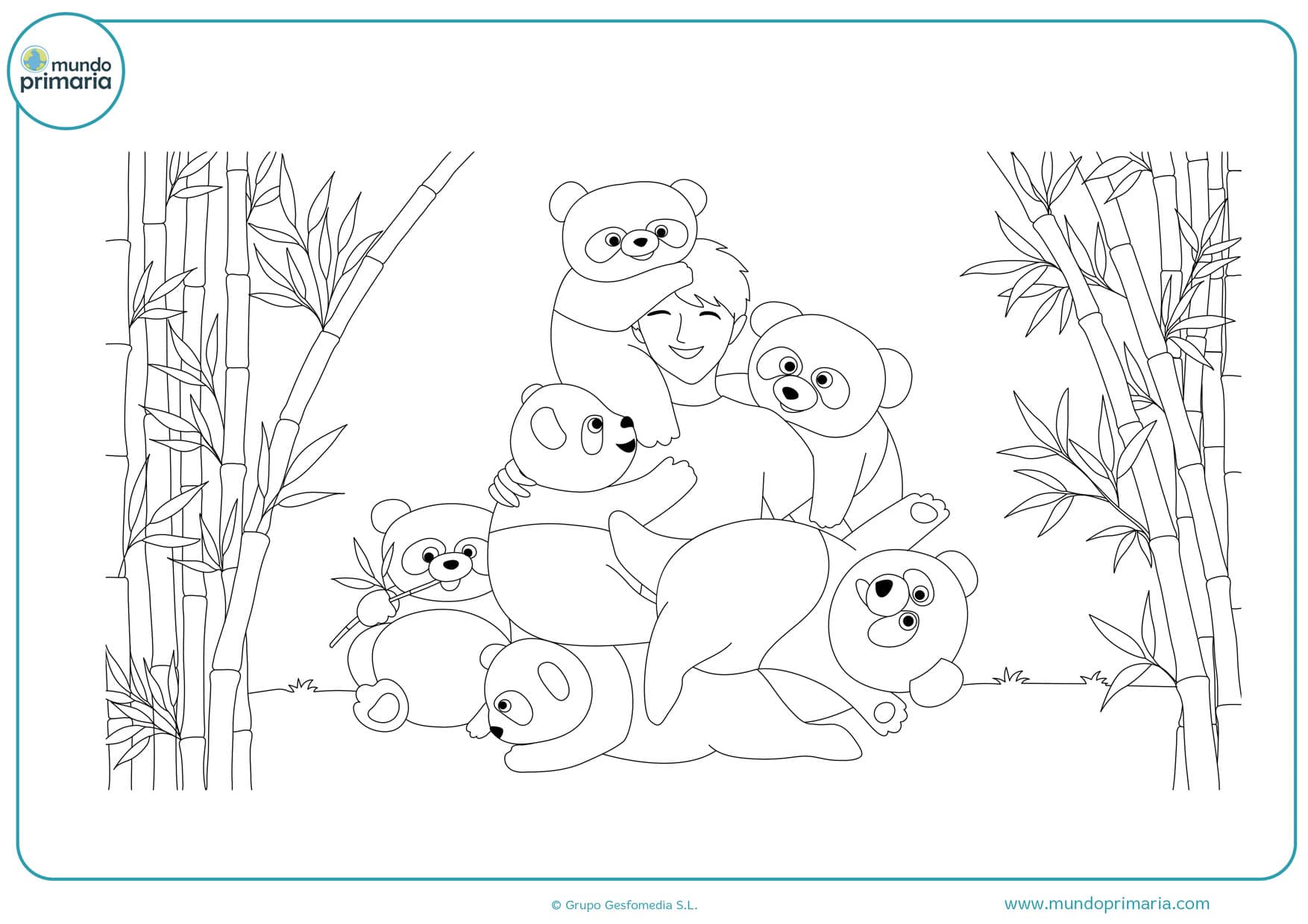 dibujos para colorear de osos pandas bebes