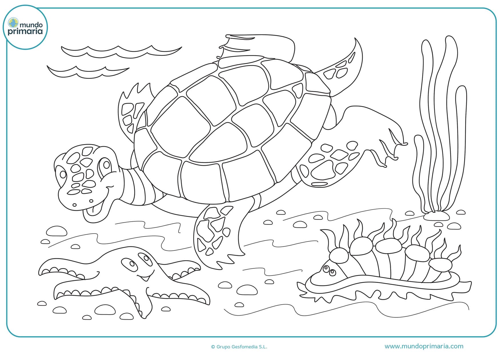 dibujos para colorear de tortugas de agua dulce