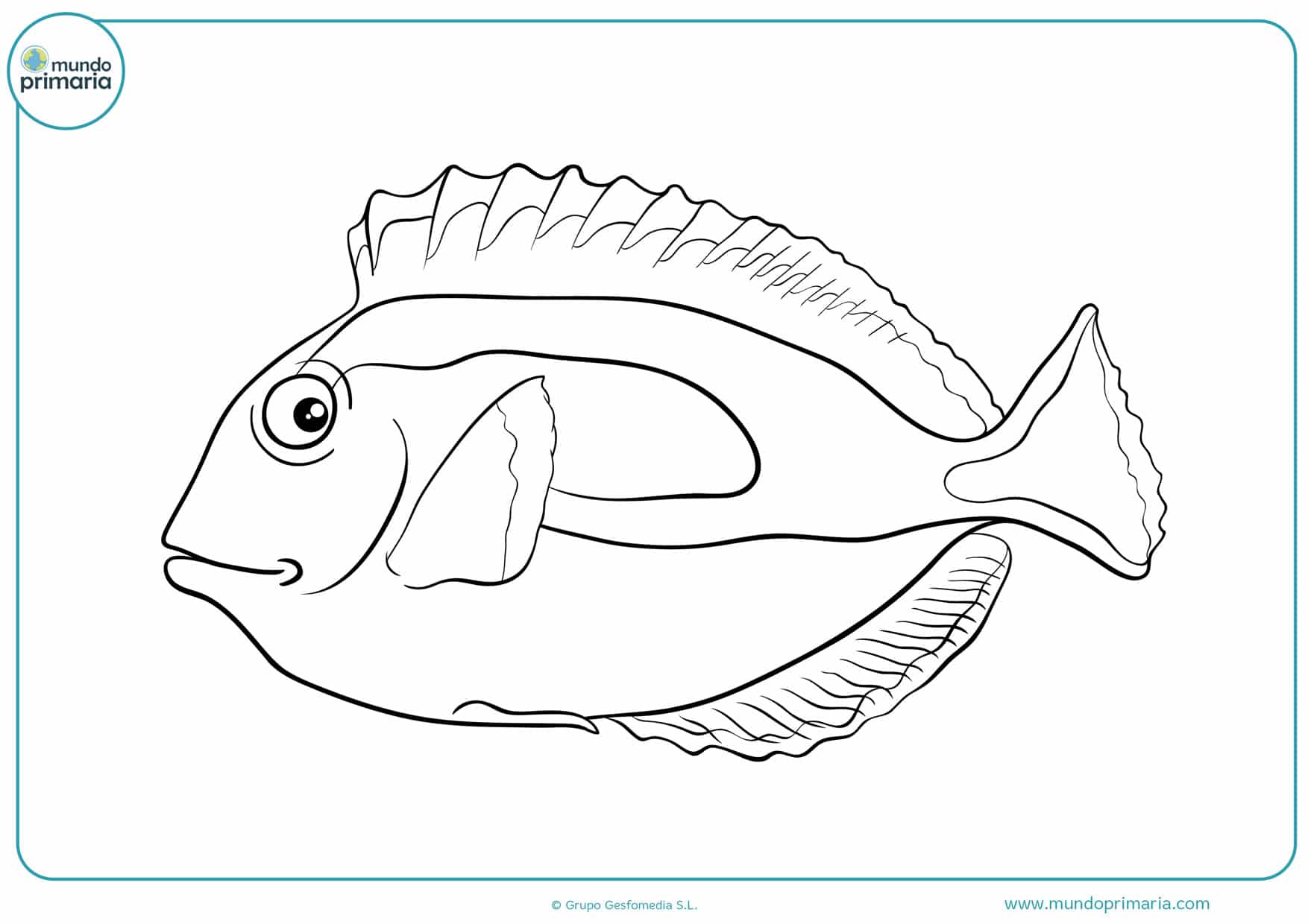 dibujos de peces para colorear en linea