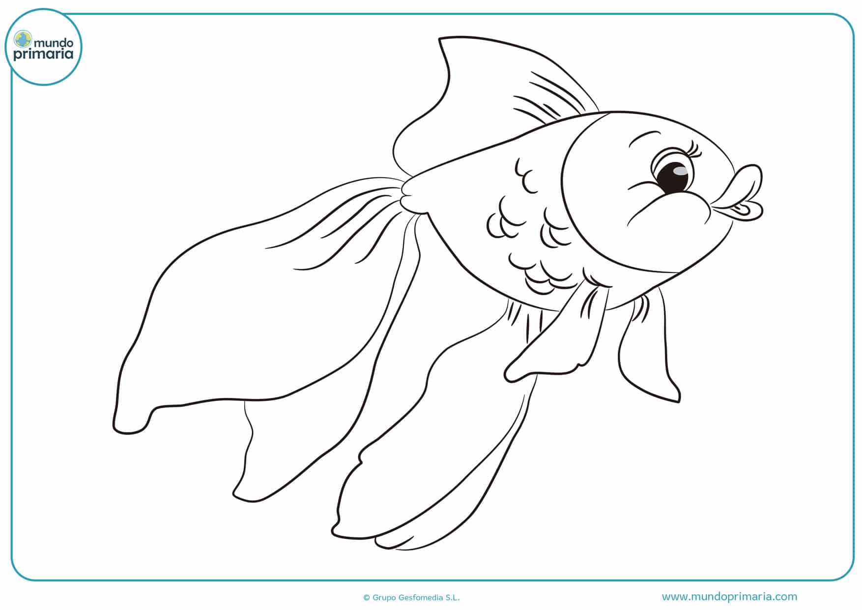▷ Dibujos de Peces para Colorear (Imprimir Gratis)