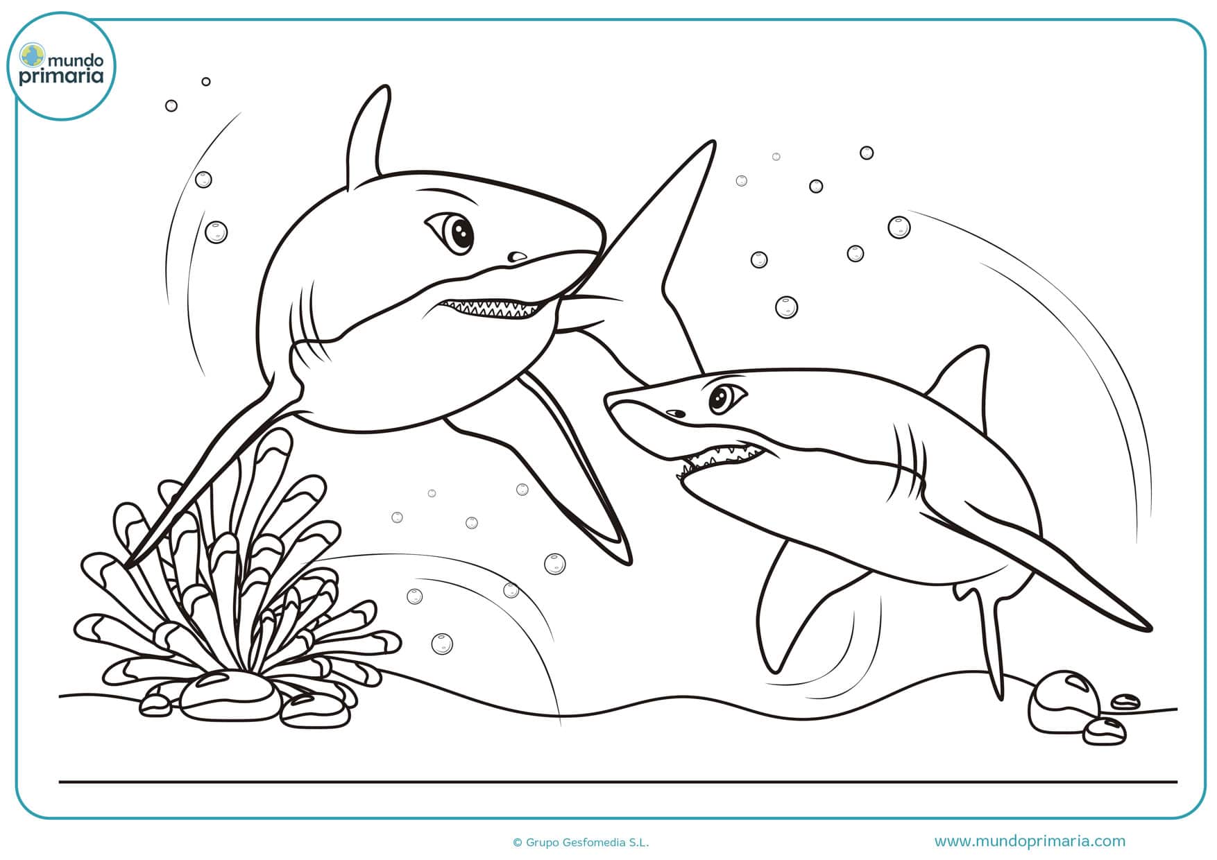 ▷ Dibujos de Tiburones para Colorear (Fáciles de Imprimir)