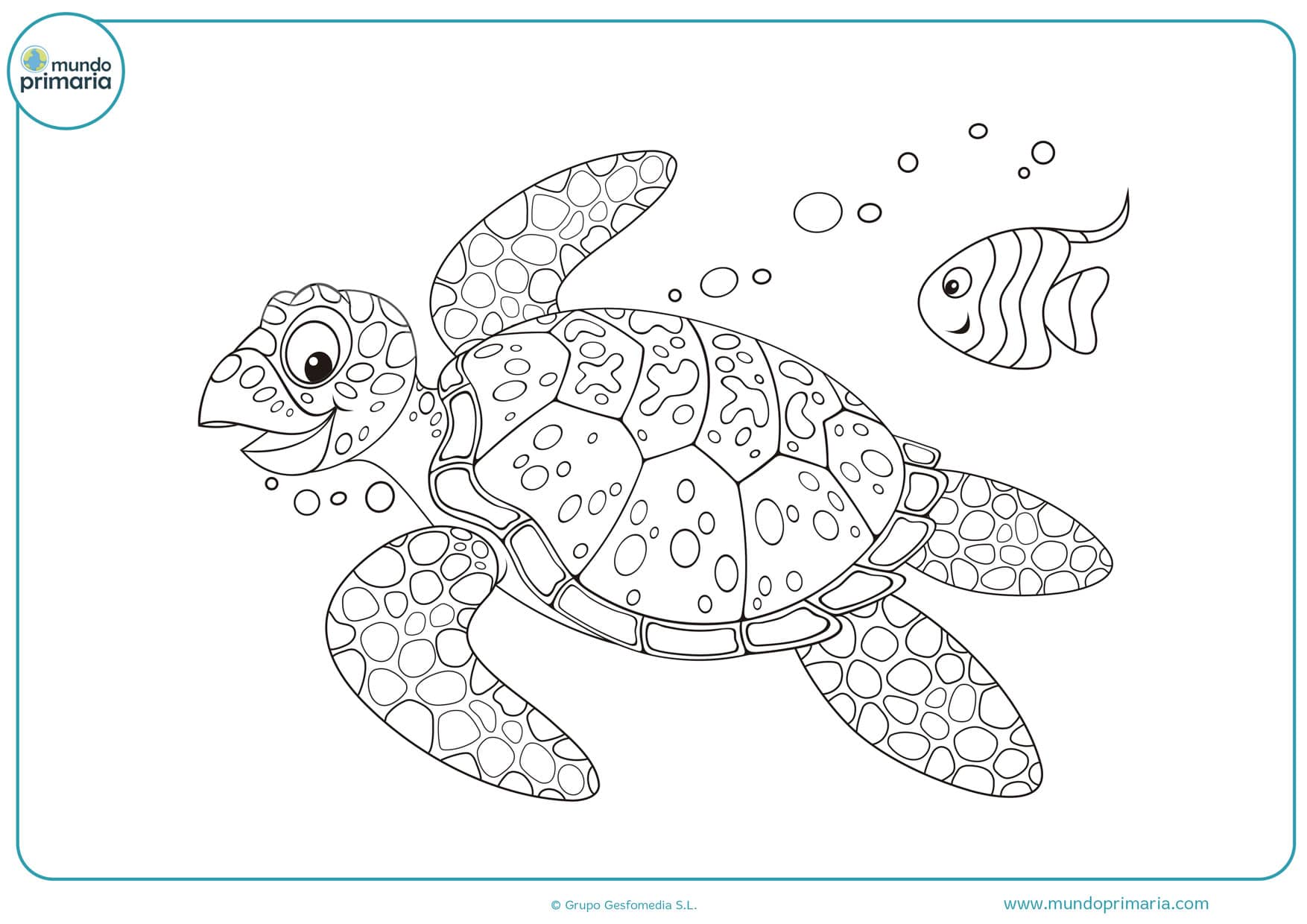 dibujos de tortugas de mar para colorear