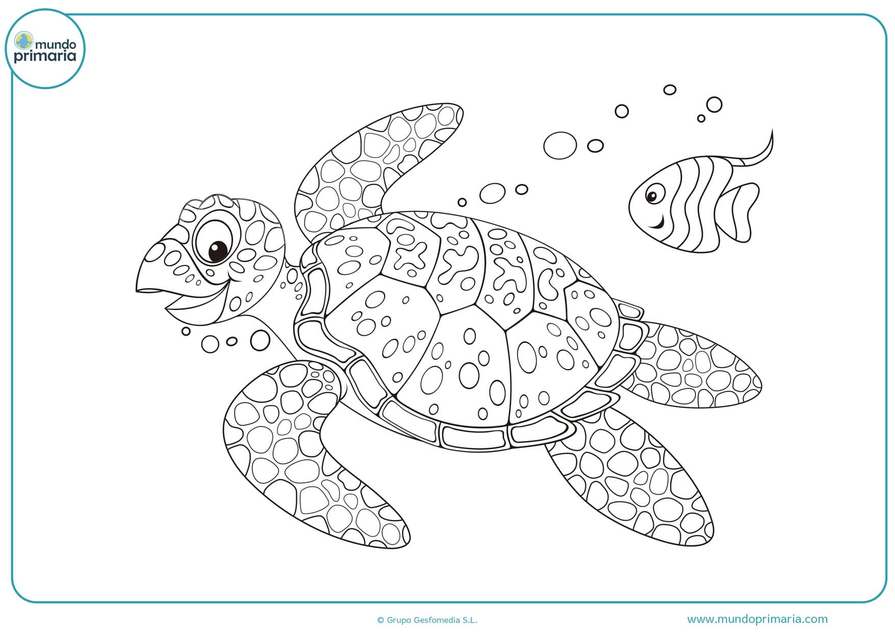 dibujos de tortugas de mar para colorear