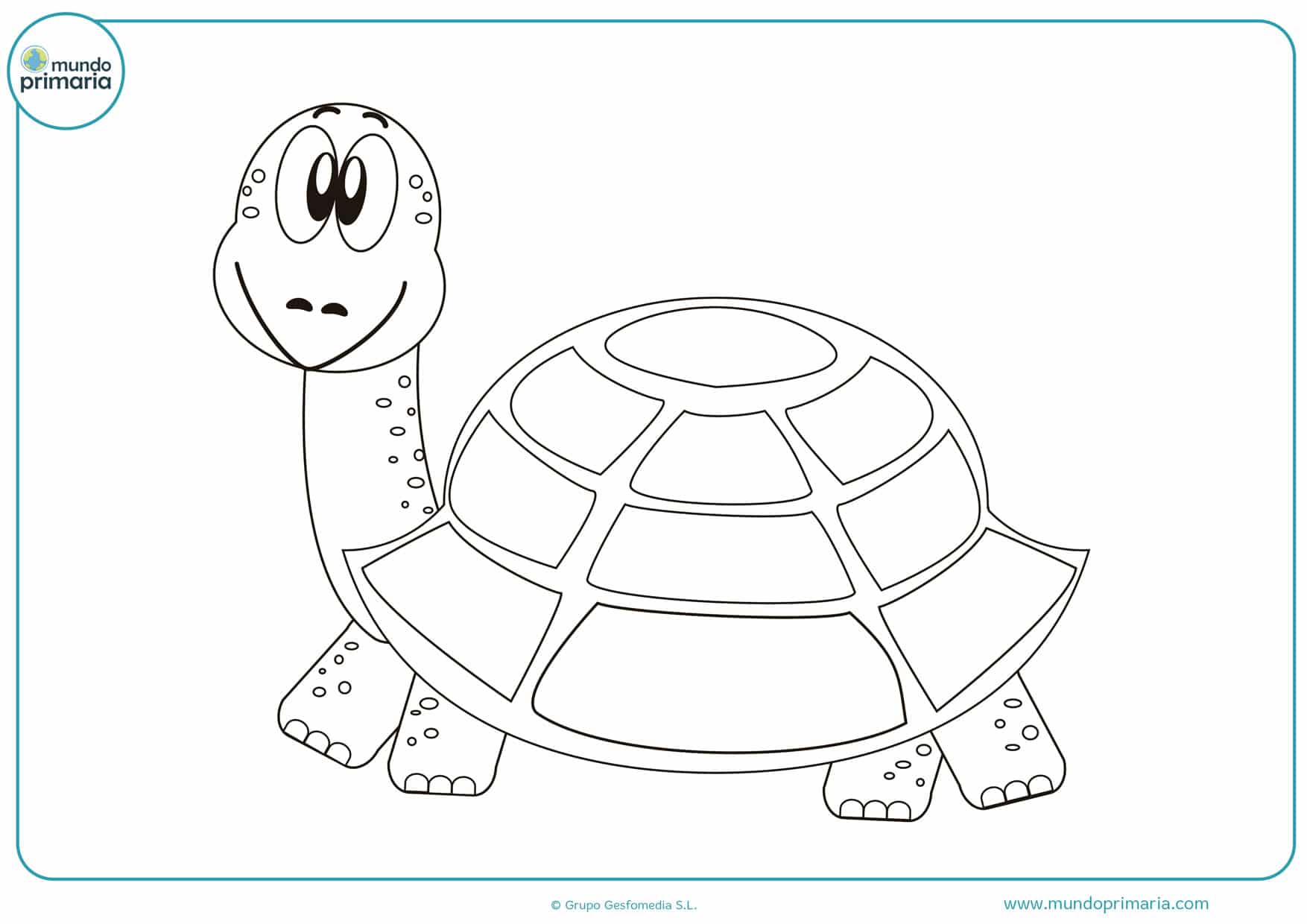 dibujos de tortugas para imprimir y colorear