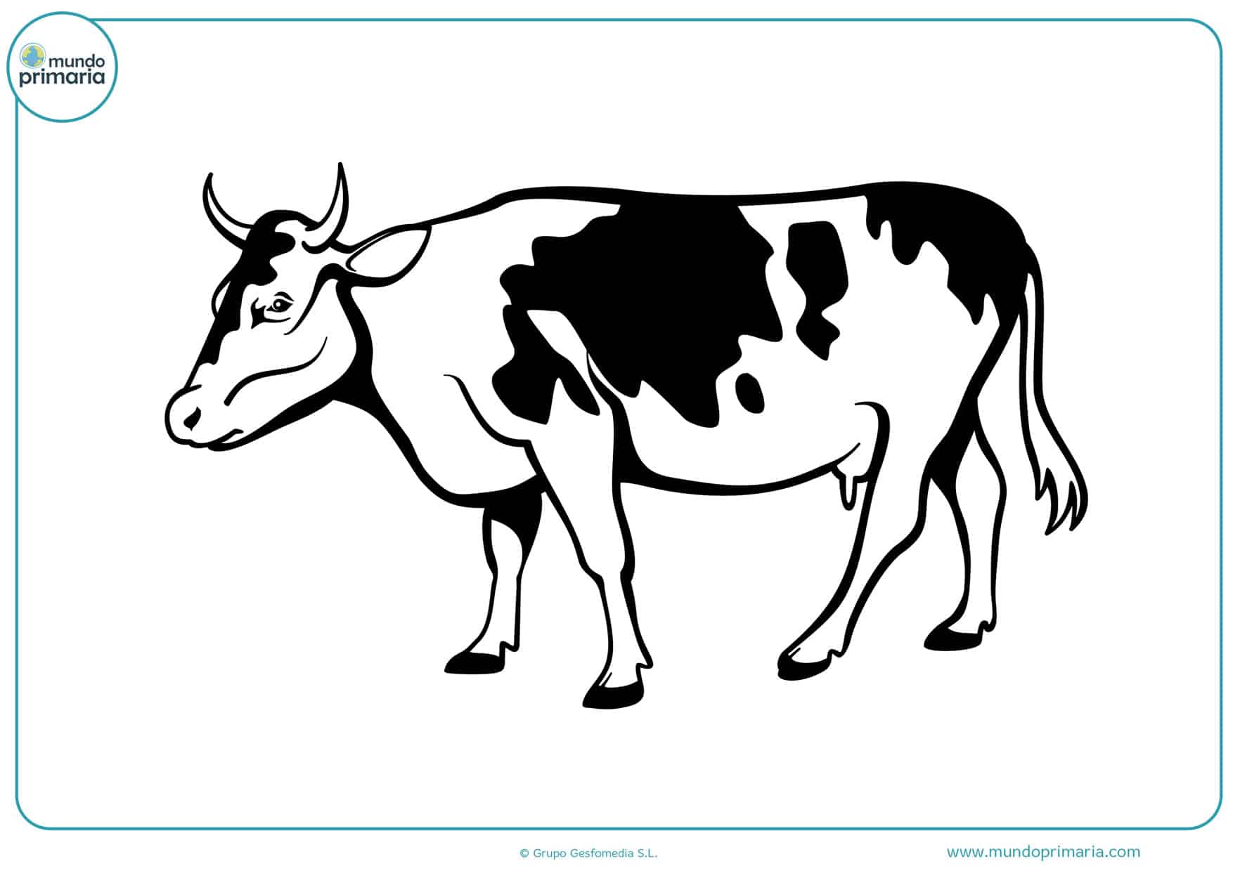 dibujos de vacas bravas para colorear