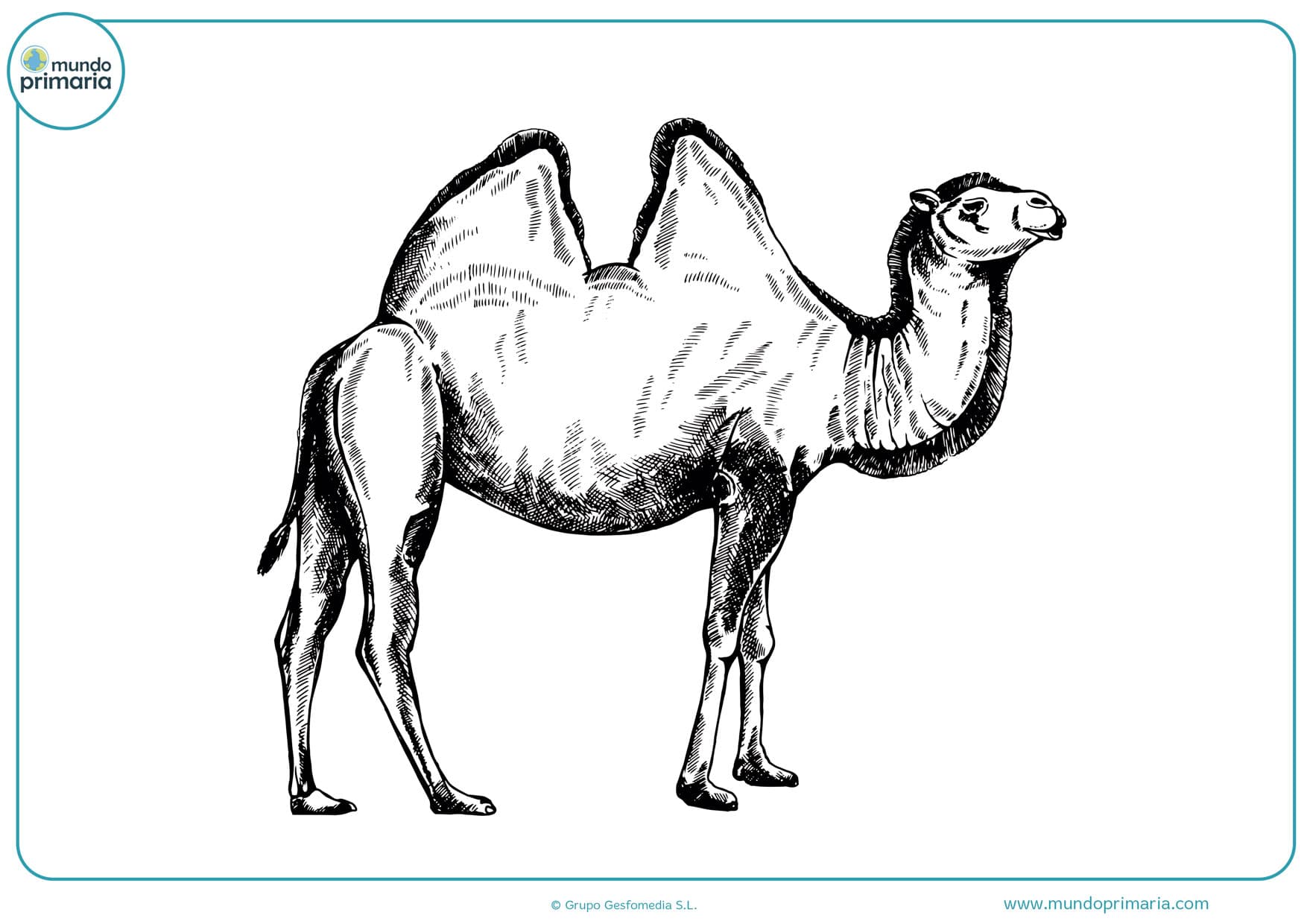 dibujo de animales a lápiz para imprimir y colorear