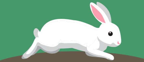 Cuento Astucia Conejo
