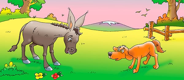 El Burro de La Granja