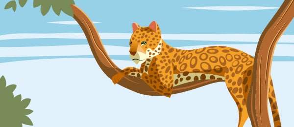 Leopardo