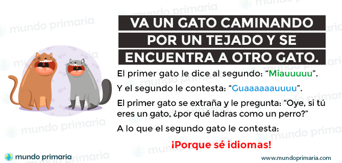 Chistes para reír  Chistes para reir, Chistes cortos, Chistes graciosos