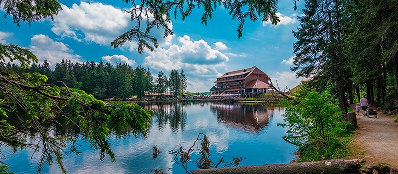 Viajar Familia Selva Negra