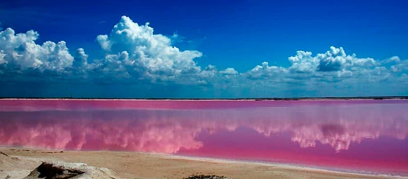 Viajar Familia Yucatan Las Coloradas