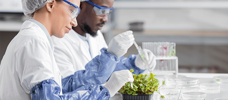Clasificación De Las Ciencias