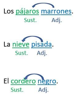 Adjetivos Calificativos