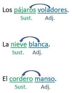 Adjetivos Determinativos