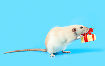 El Ratoncito Pérez Mini