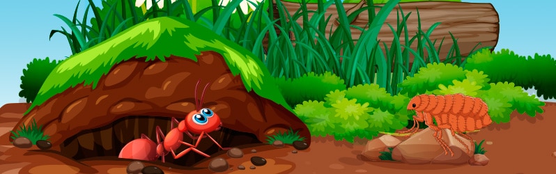 Long Fables The Ant and the Flea