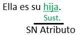 Sustantivos Comunes Y Propios