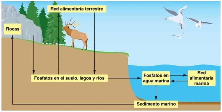 Ciclo Azufre