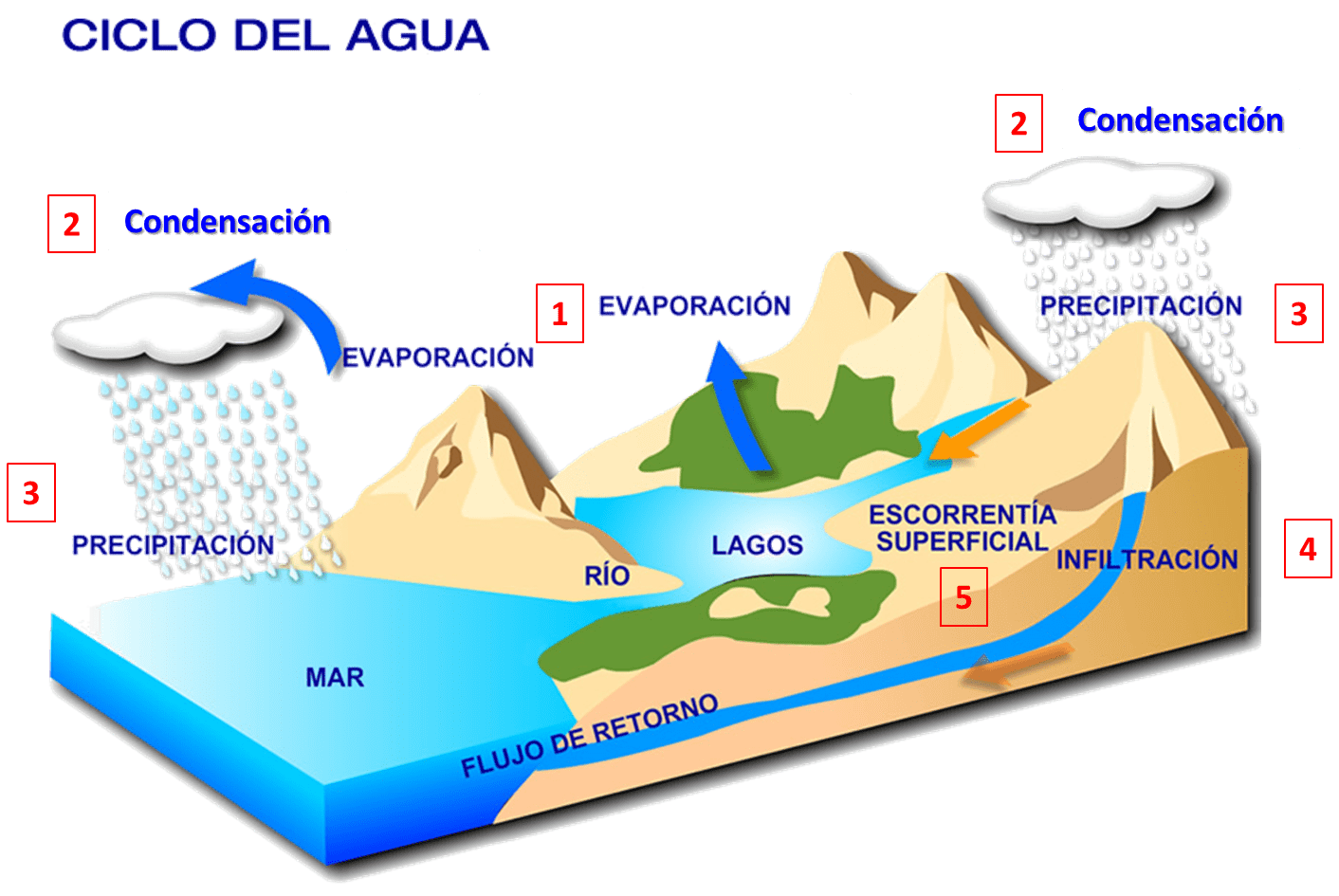 Ciclo Del Agua 【también Conocido Como Ciclo Hidrológico】