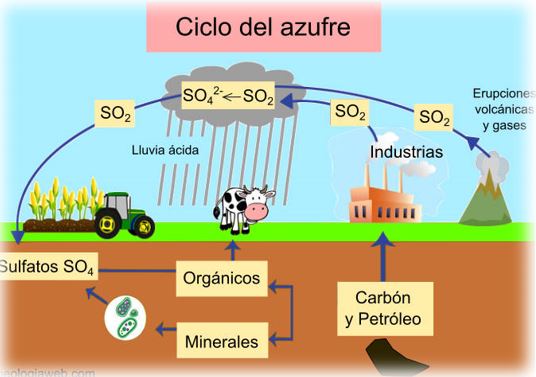 Ciclo del azufre