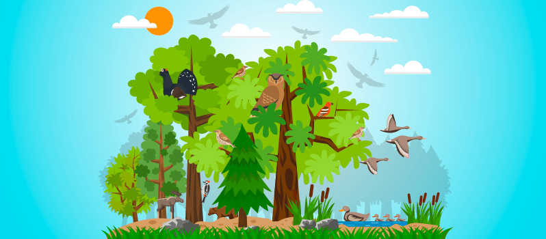Ejemplos de ecosistemas para niños