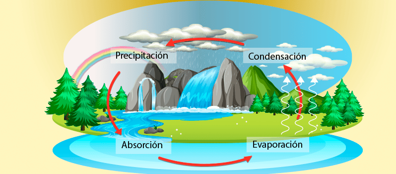 Ejemplos de ecosistemas
