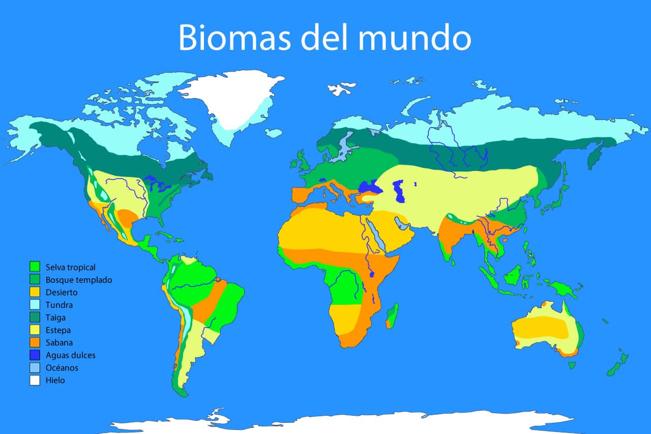 Mapa Biomas Mundo