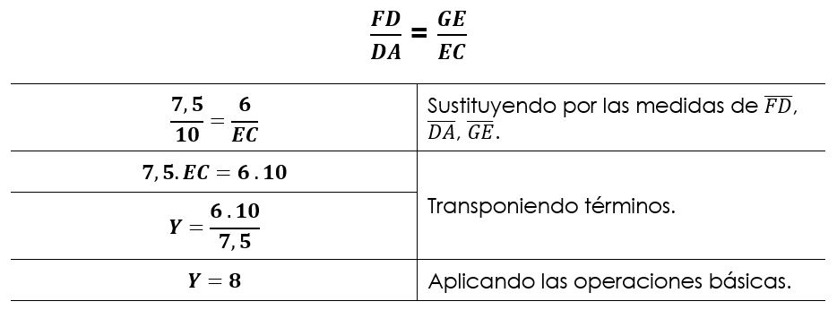 Mileto de Thales Primaria