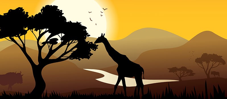 Nombres Africanos De Niñas Y Niños Y Su Significado