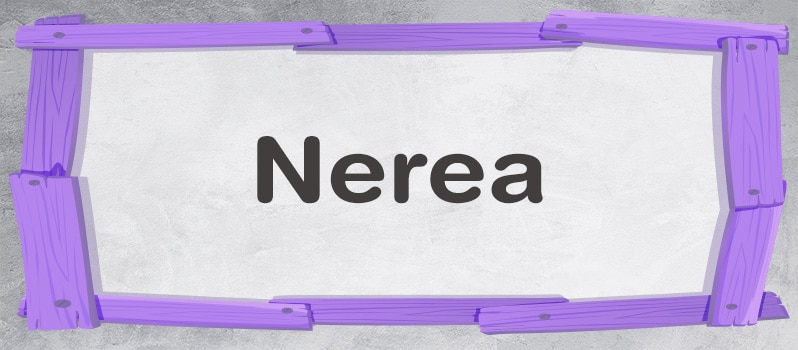 Nerea significado