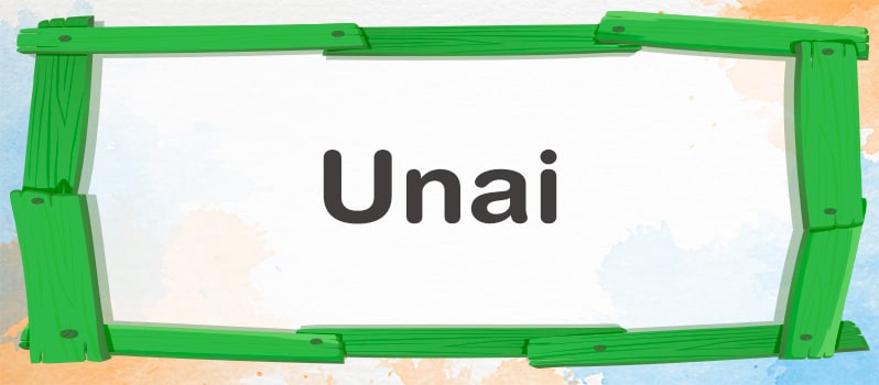 Qué significa Unai