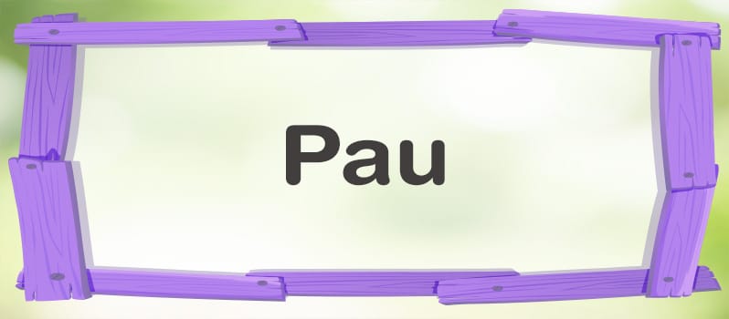 Significado de Pau