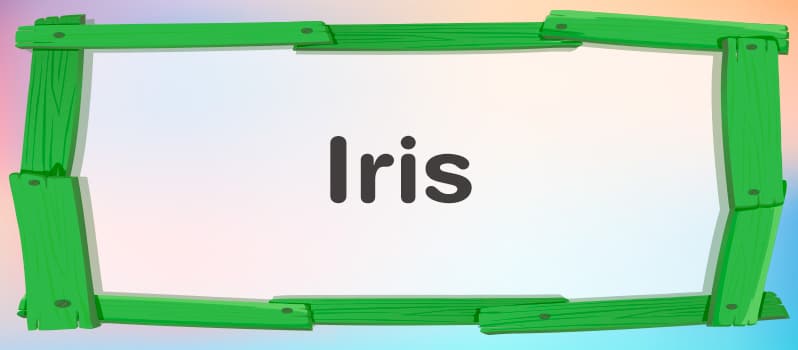 Iris significado