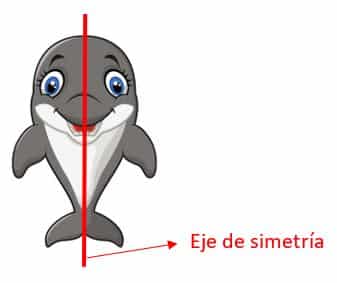 Animales vertebrados e invertebrados