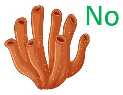 Animales vertebrados para niños