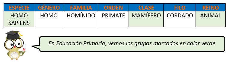 Clasificación de los seres vivos para niños