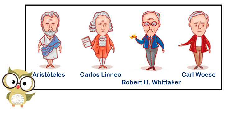 Clasificación de los seres vivos para primaria