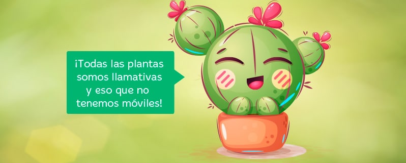 El reino vegetal y sus características