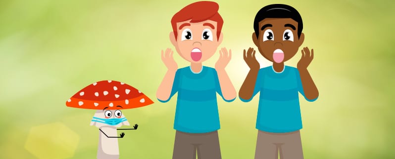 Reino fungi de primaria para niños