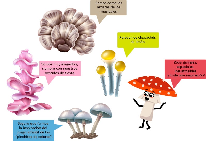 Reino fungi en primaria para niños