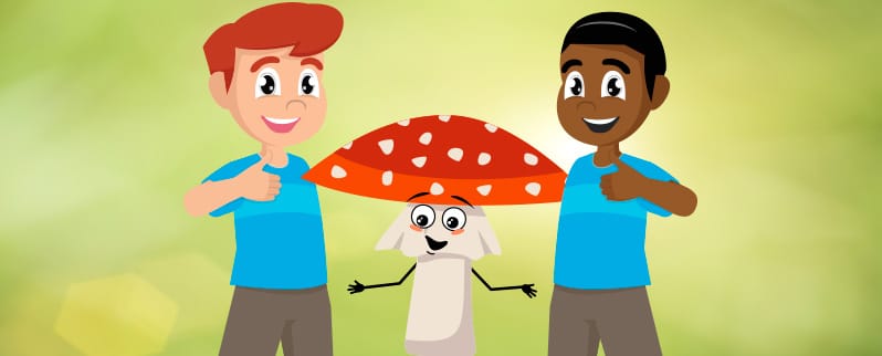 Reino fungi para primaria para niños