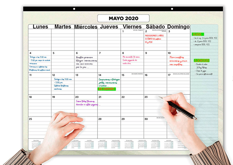 Días de la semana en primaria