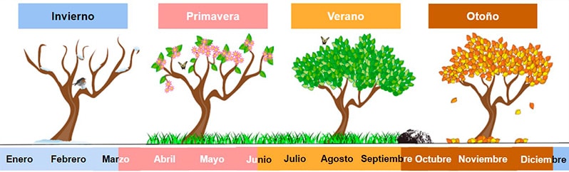 El calendario en primaria